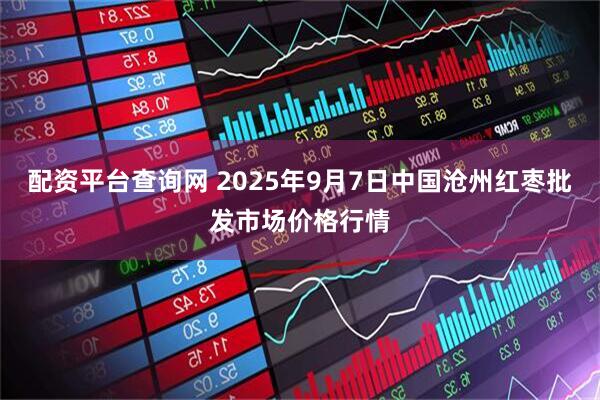 配资平台查询网 2025年9月7日中国沧州红枣批发市场价格行情