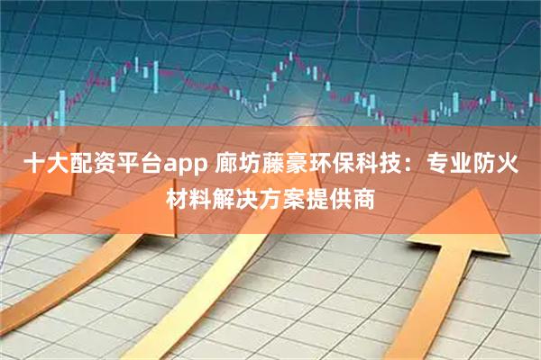 十大配资平台app 廊坊藤豪环保科技：专业防火材料解决方案提供商