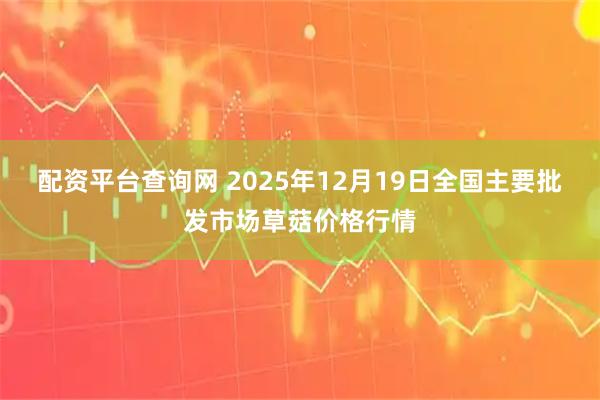 配资平台查询网 2025年12月19日全国主要批发市场草菇价格行情