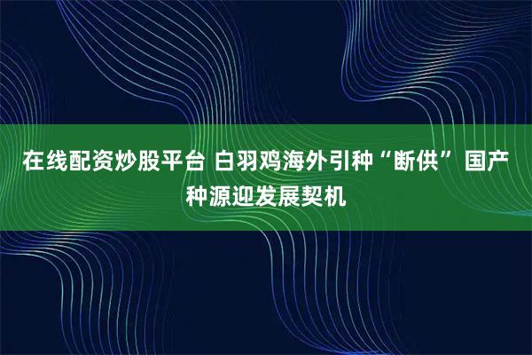 在线配资炒股平台 白羽鸡海外引种“断供” 国产种源迎发展契机